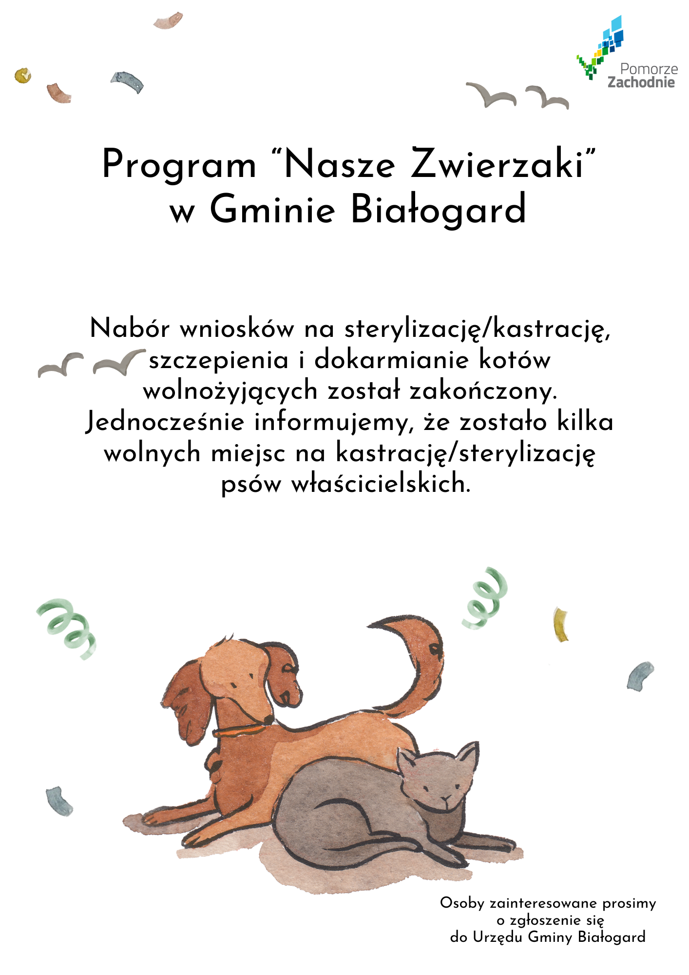 plakat Nab&oacute;r wniosk&oacute;w częściowo wstrzymany, ostatnie wolne miejsca na kastrację ps&oacute;w