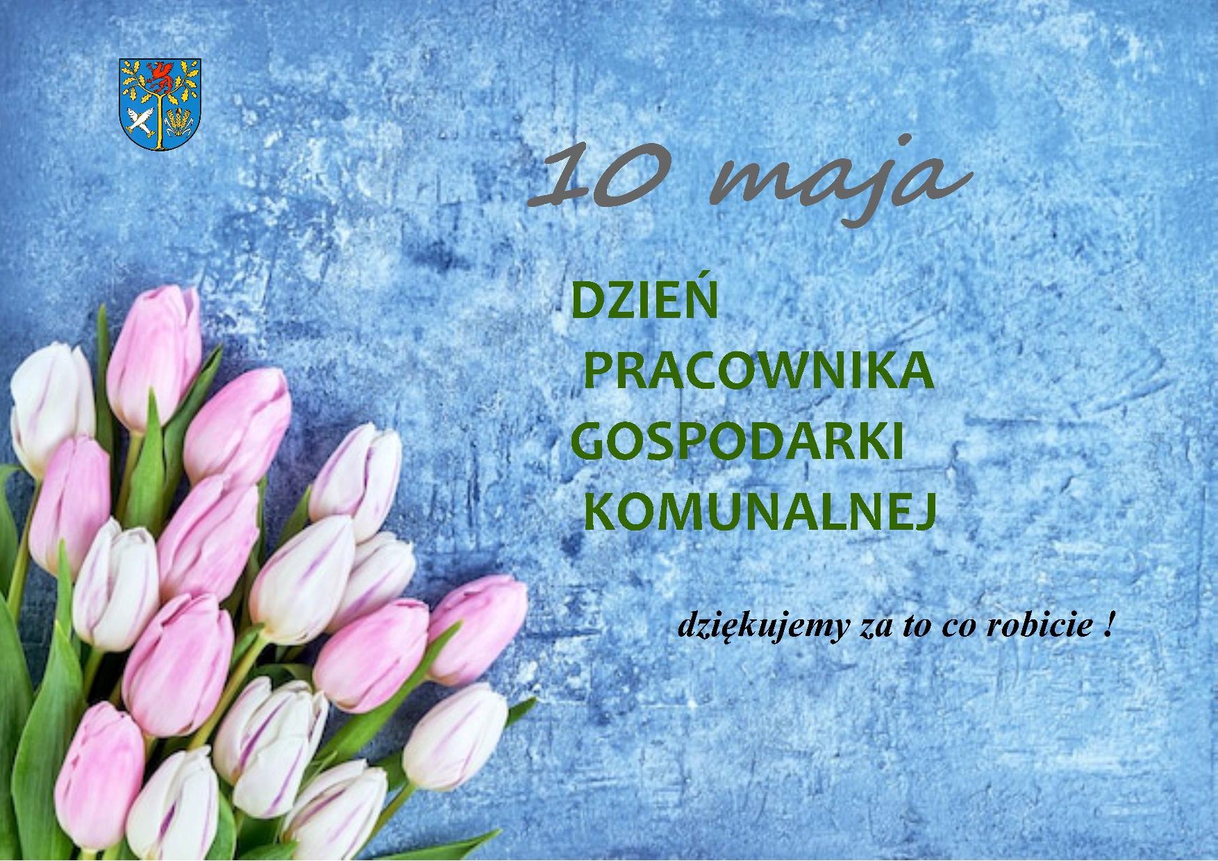 błękitne tło, różowe tulipany napis 10 maja Dzień Pracownika Gospodarki Komunalnej dziękujemy za to co robicie !