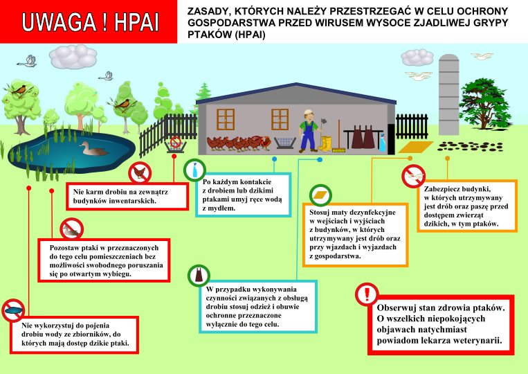 "UWAGA "HPAI" wysoka zjadliwa grypa ptaków