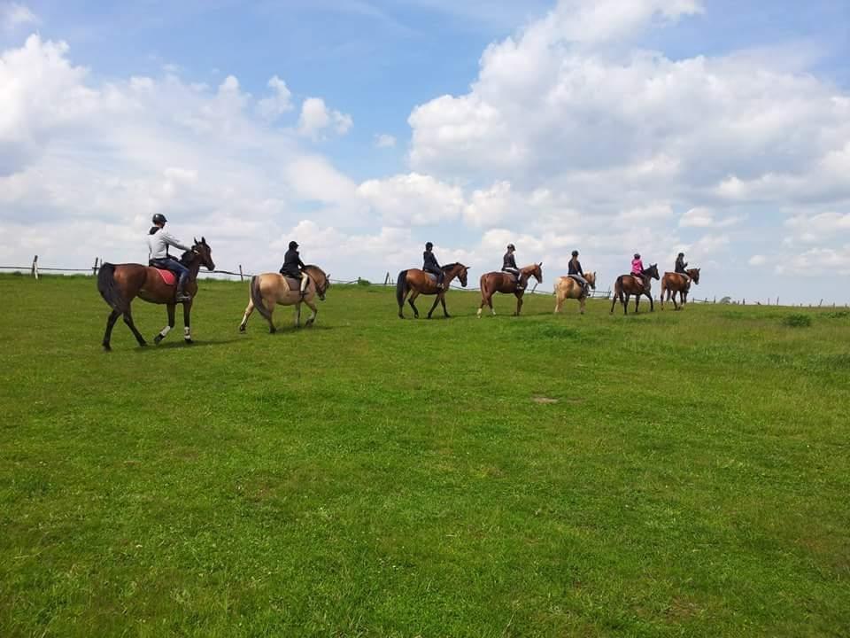 GOSPODARSTWO AGROTURYSTYCZNE - Stajnia Leonardo