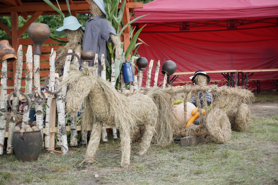 6. Koń i wóz uplecione z siana